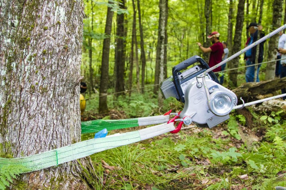Treuil portable forest winch à câble avec enroulage automatique : matériel  forestier, treuil de débardage